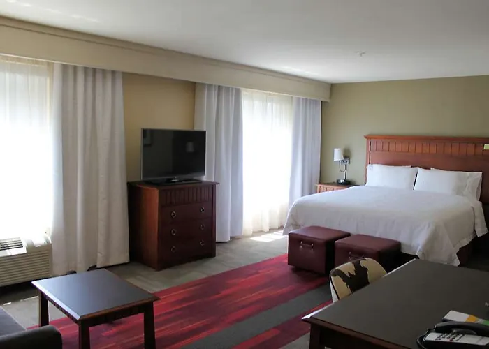 Hampton & River Hotel 3*